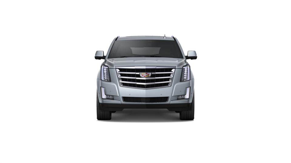 2019 Cadillac Escalade Vehicle Photo in Southborough, MA 01772