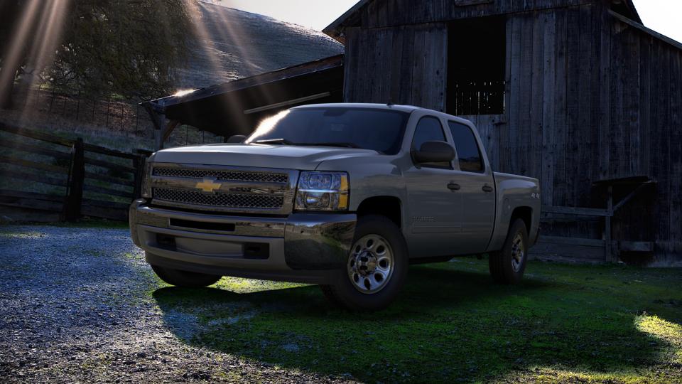 2013 Chevrolet Silverado 1500 Vehicle Photo in Twin Falls, ID 83301