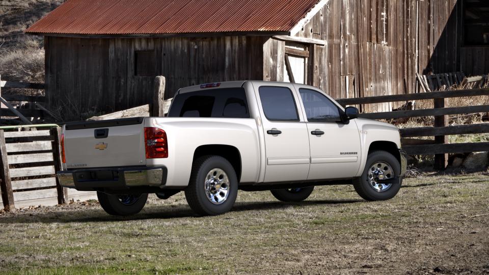 2013 Chevrolet Silverado 1500 Vehicle Photo in Dallas, TX 75209