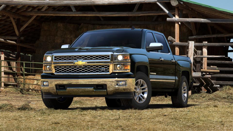 2015 Chevrolet Silverado 1500 Vehicle Photo in Norwich, NY 13815