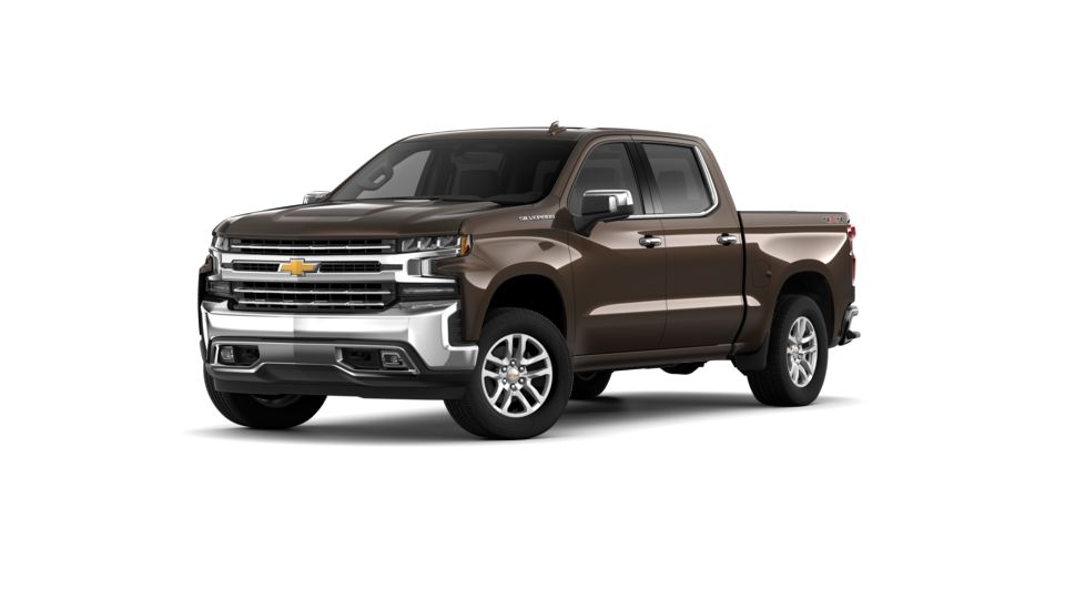 2019 Chevrolet Silverado 1500 Vehicle Photo in Plainfield, IN 46168