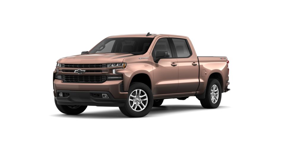 2019 Chevrolet Silverado 1500 Vehicle Photo in Lake Bluff, IL 60044