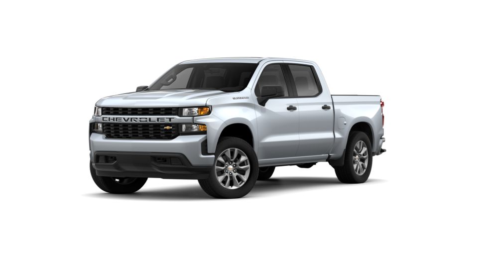 2019 Chevrolet Silverado 1500 Vehicle Photo in Springfield, TN 37172