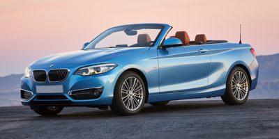 2019 BMW 230i Vehicle Photo in Grapevine, TX 76051