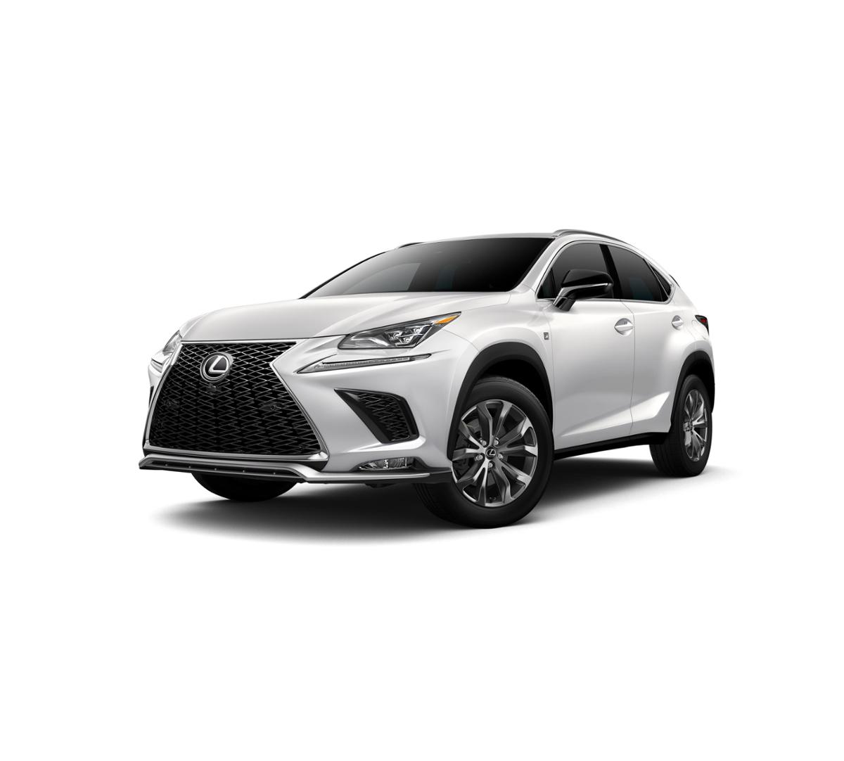 2019 Lexus NX 300 Vehicle Photo in Springfield, MO 65809