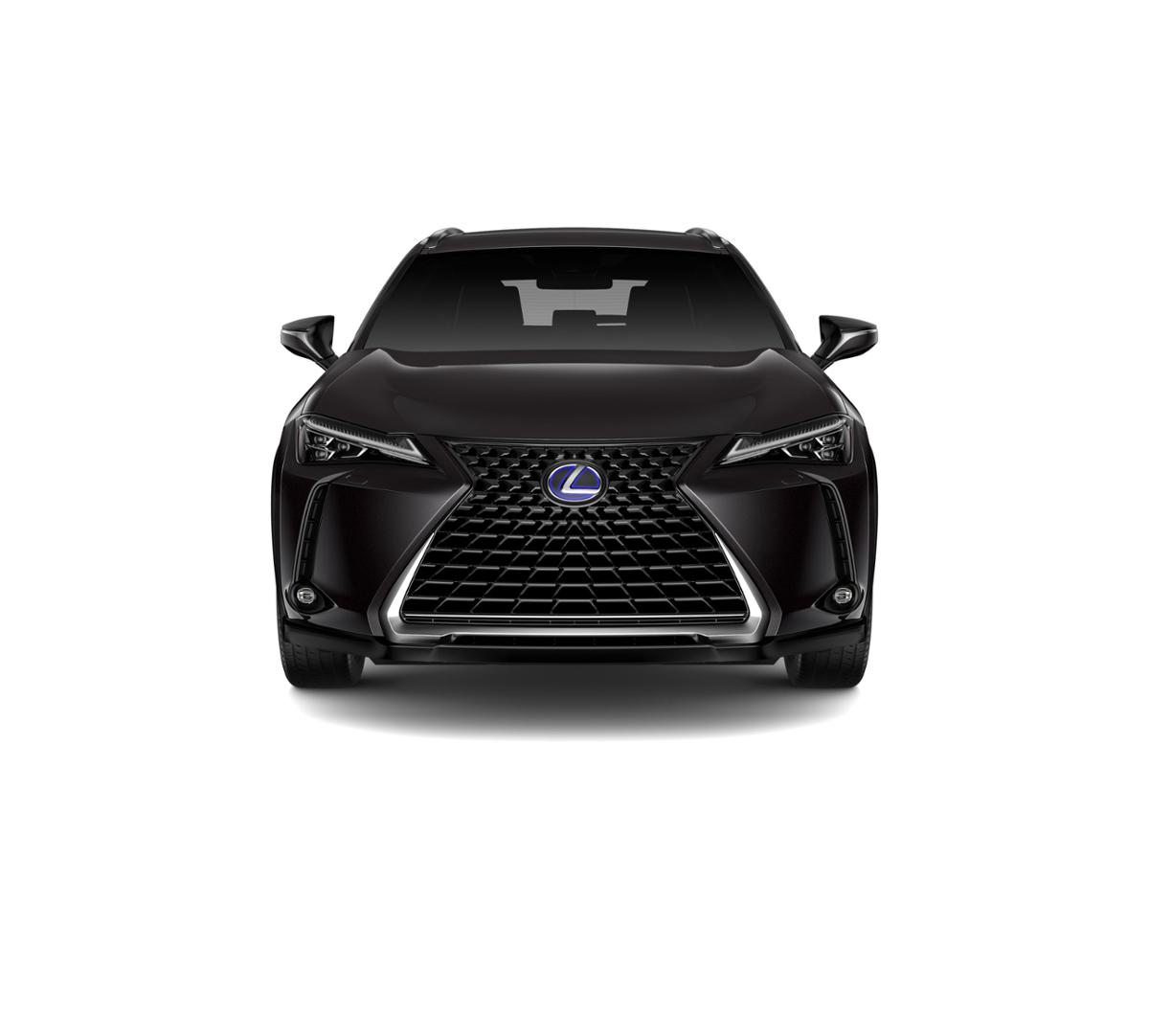 2019 Lexus UX 250h Vehicle Photo in Springfield, MO 65809