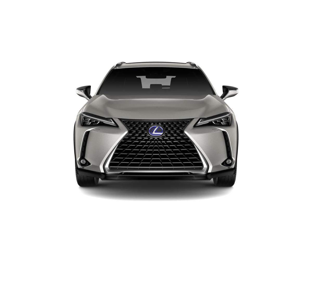 2019 Lexus UX 250h Vehicle Photo in Evansville, IN 47715