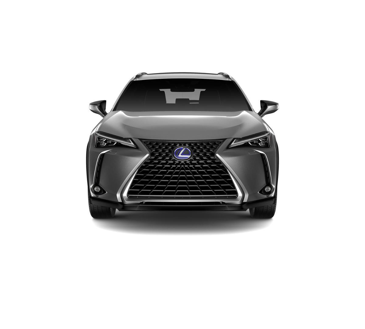 2019 Lexus UX 250h Vehicle Photo in Springfield, MO 65809
