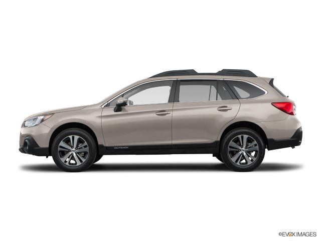 2019 Subaru Outback Vehicle Photo in Dallas, TX 75209