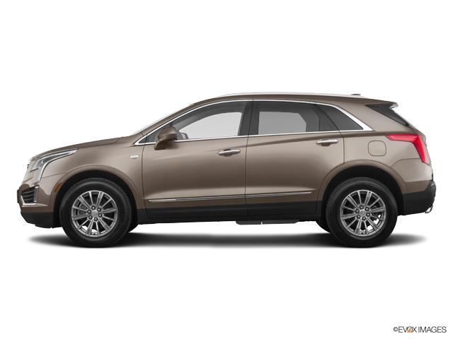 2019 Cadillac XT5 Vehicle Photo in San Antonio, TX 78230