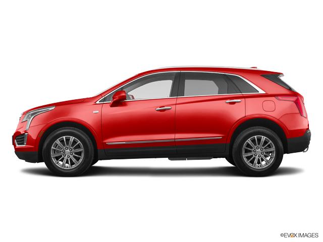 2019 Cadillac XT5 Vehicle Photo in San Antonio, TX 78230
