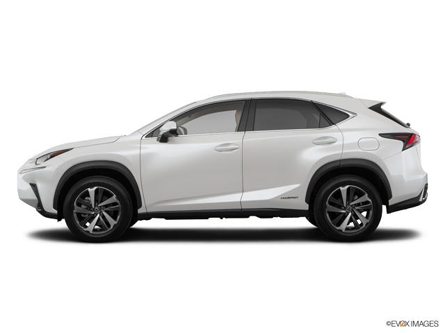 2019 Lexus NX 300h Vehicle Photo in Dallas, TX 75209