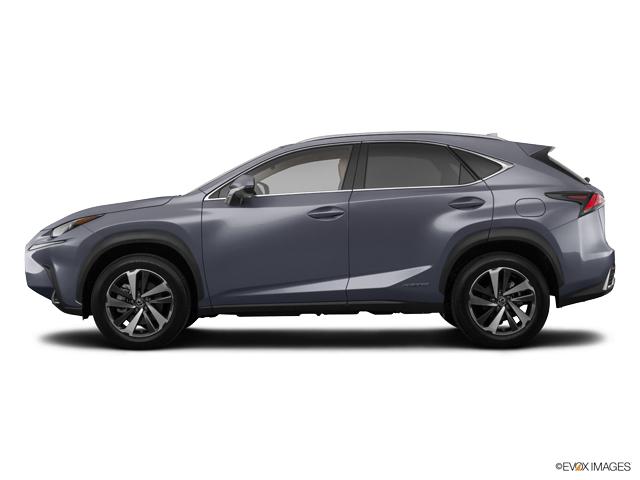 2019 Lexus NX 300h Vehicle Photo in Dallas, TX 75209