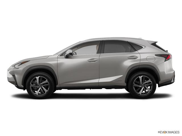 2019 Lexus NX 300h Vehicle Photo in Dallas, TX 75209