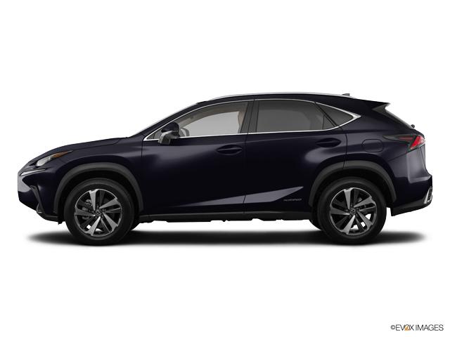 2019 Lexus NX 300h Vehicle Photo in Fort Worth, TX 76132
