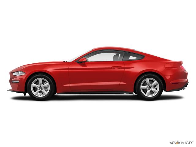 Mark Mclarty Ford >> New Race Red 2019 Ford Mustang For Sale In North Little ... Mark Mclarty Ford >> New Race Red 2019 Ford Mustang For Sale In North Little ...