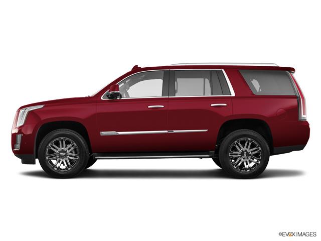2019 Cadillac Escalade Vehicle Photo in San Antonio, TX 78230