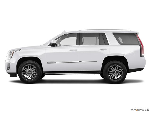 2019 Cadillac Escalade Vehicle Photo in San Antonio, TX 78230