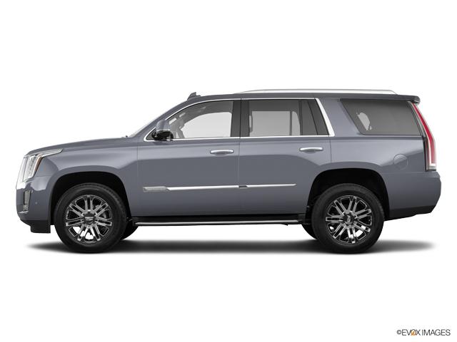2019 Cadillac Escalade Vehicle Photo in Houston, TX 77079