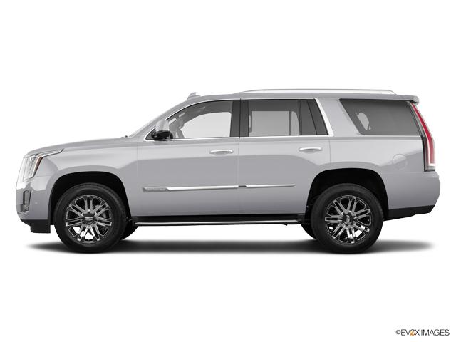 2019 Cadillac Escalade Vehicle Photo in Grapevine, TX 76051