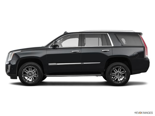 2019 Cadillac Escalade Vehicle Photo in San Antonio, TX 78230