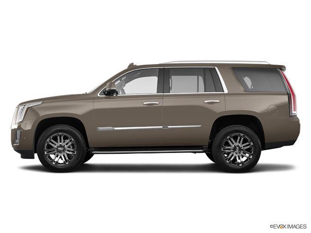 2019 Cadillac Escalade Vehicle Photo in San Antonio, TX 78230