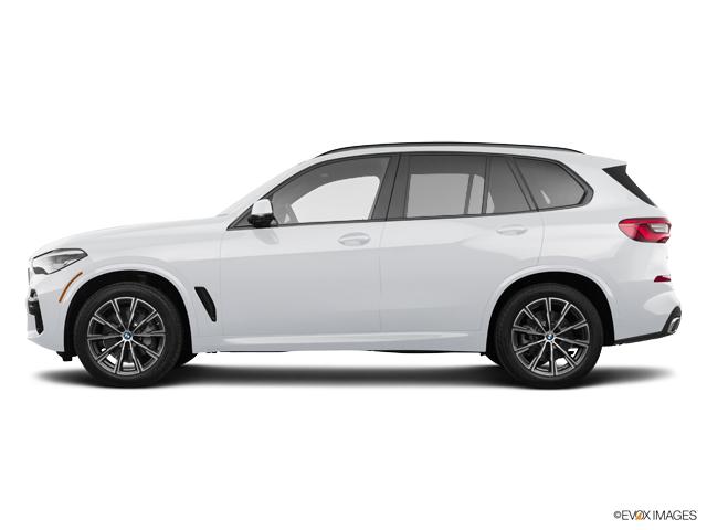 2019 BMW X5 xDrive40i Vehicle Photo in Grapevine, TX 76051