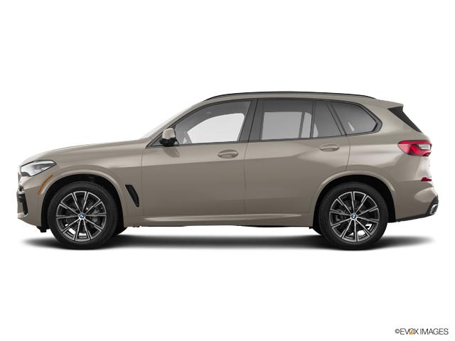 2019 BMW X5 xDrive40i Vehicle Photo in Grapevine, TX 76051