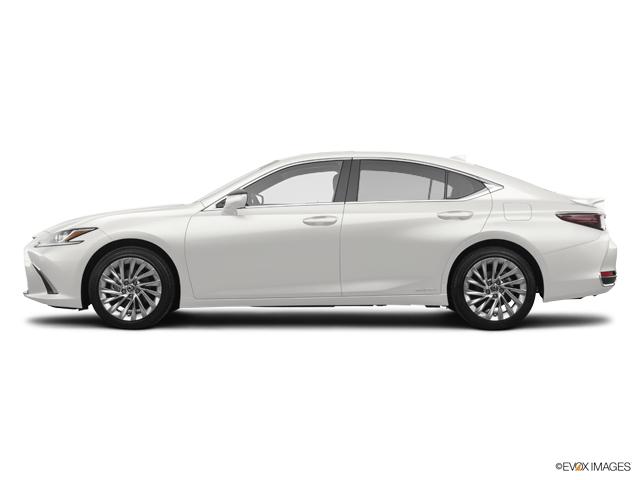 2019 Lexus ES 300h Vehicle Photo in Fort Worth, TX 76132