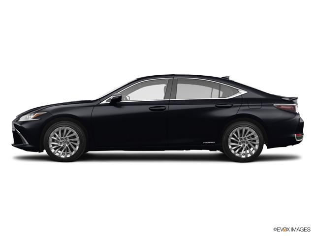 2019 Lexus ES 300h Vehicle Photo in Dallas, TX 75209