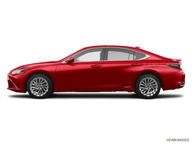 2019 Lexus ES 350 Vehicle Photo in Dallas, TX 75209