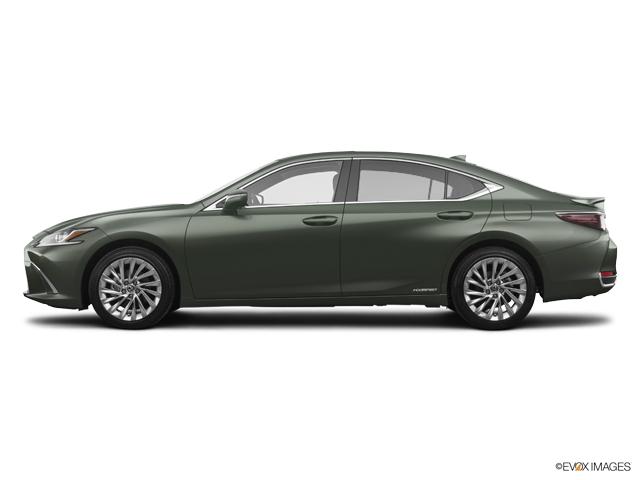2019 Lexus ES 300h Vehicle Photo in Fort Worth, TX 76132