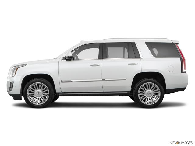 2019 Cadillac Escalade Vehicle Photo in San Antonio, TX 78230