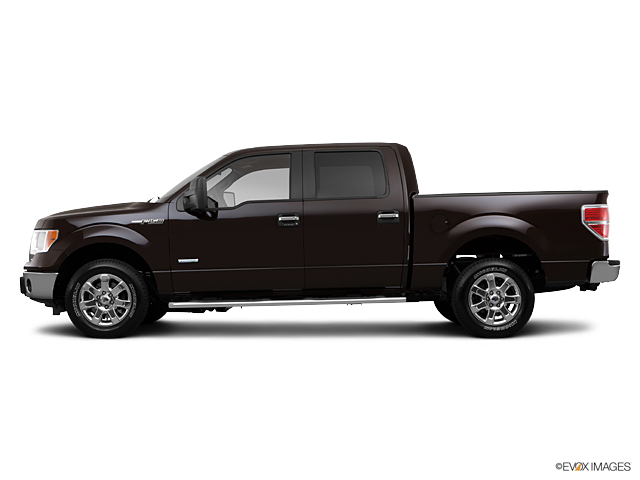 2013 Ford F-150 Vehicle Photo in Dallas, TX 75209