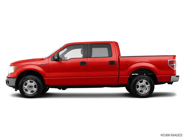 2014 Ford F-150 Vehicle Photo in Dallas, TX 75209