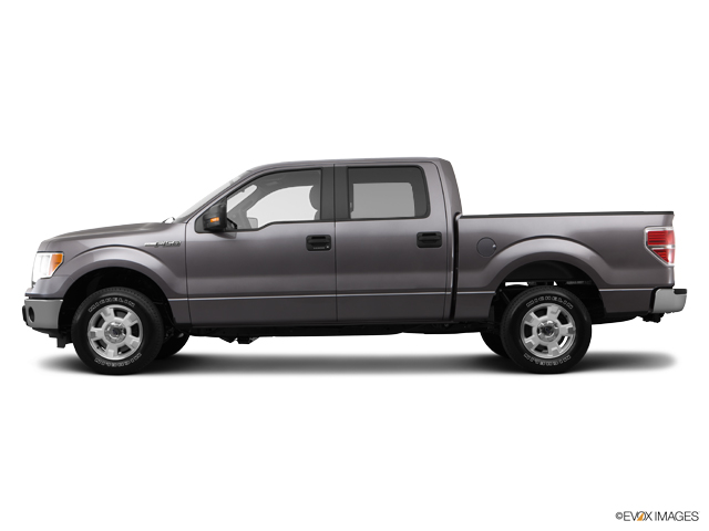 2014 Ford F-150 Vehicle Photo in Dallas, TX 75209