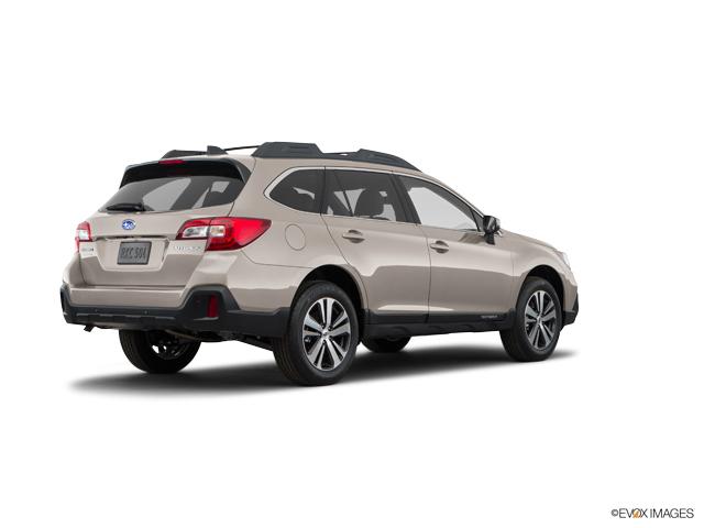 2019 Subaru Outback Vehicle Photo in Dallas, TX 75209