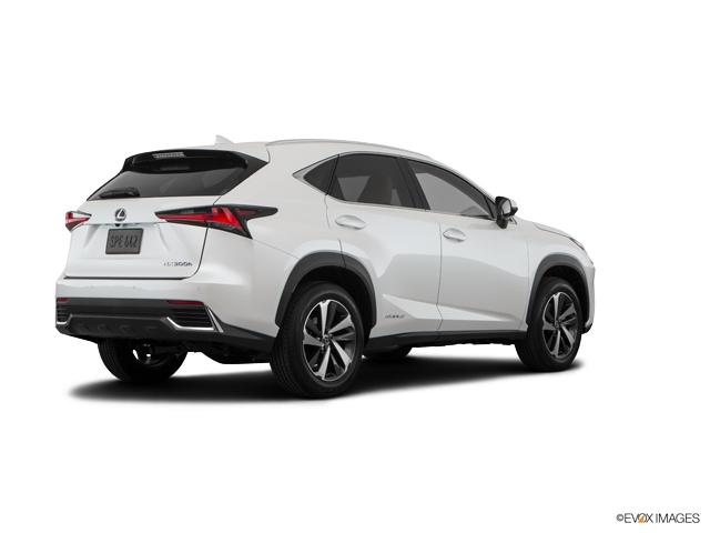 2019 Lexus NX 300h Vehicle Photo in Dallas, TX 75209