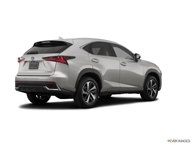 2019 Lexus NX 300h Vehicle Photo in Dallas, TX 75209
