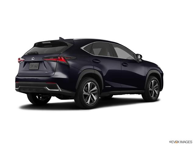 2019 Lexus NX 300h Vehicle Photo in Fort Worth, TX 76132