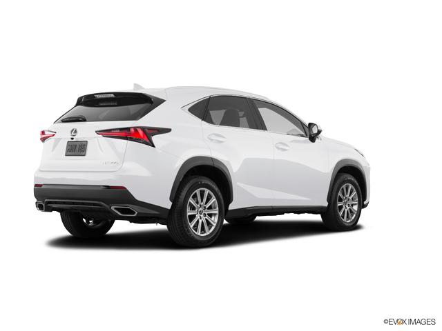 2019 Lexus NX 300 Vehicle Photo in Fort Worth, TX 76132