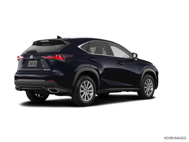 2019 Lexus NX 300 Vehicle Photo in Fort Worth, TX 76132