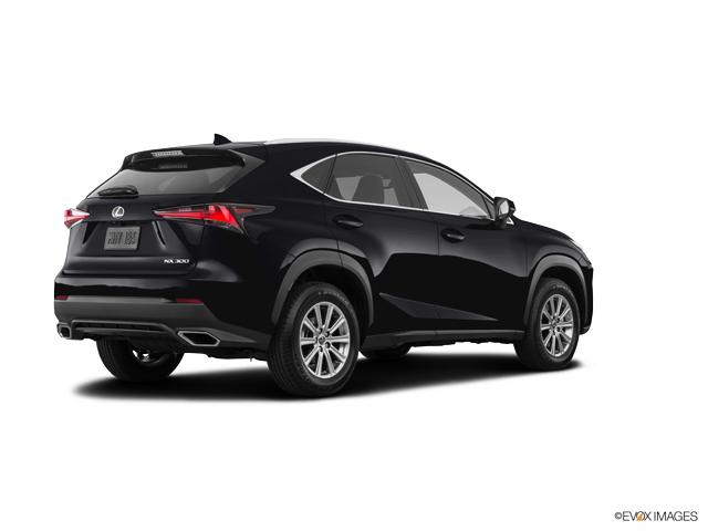 2019 Lexus NX 300 Vehicle Photo in Dallas, TX 75209