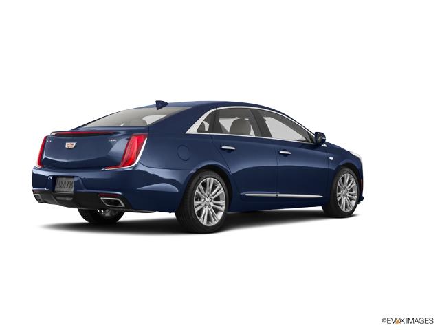 2019 Cadillac XTS Vehicle Photo in San Antonio, TX 78230