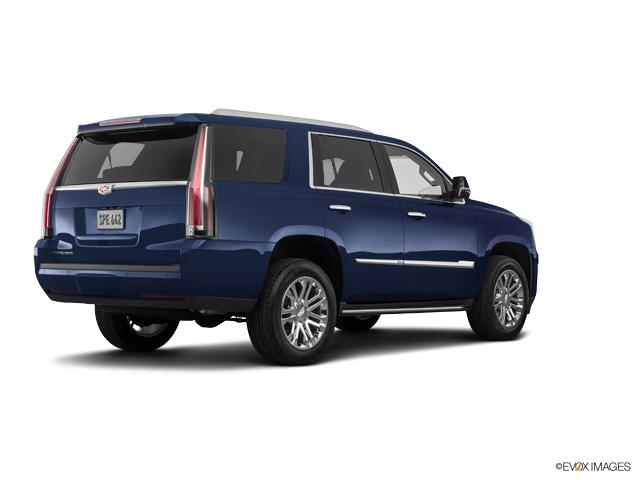 2019 Cadillac Escalade Vehicle Photo in Grapevine, TX 76051
