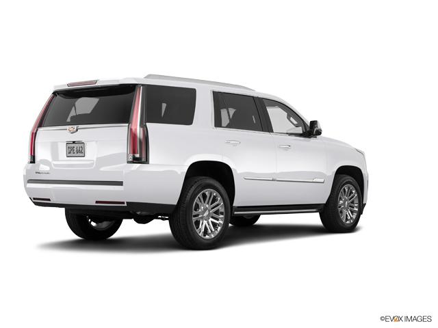 2019 Cadillac Escalade Vehicle Photo in San Antonio, TX 78230