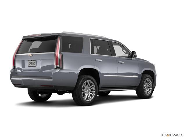 2019 Cadillac Escalade Vehicle Photo in Houston, TX 77079