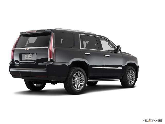 2019 Cadillac Escalade Vehicle Photo in San Antonio, TX 78230