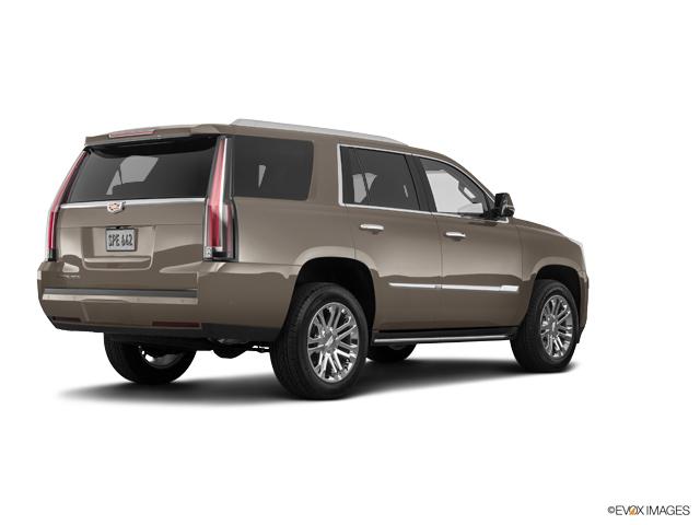 2019 Cadillac Escalade Vehicle Photo in San Antonio, TX 78230