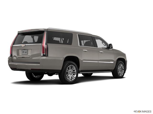 2019 Cadillac Escalade ESV Vehicle Photo in San Antonio, TX 78230